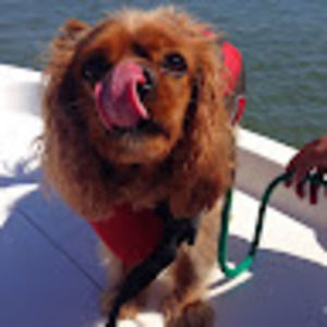 Meet your Posher, Katy